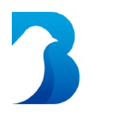 bluexperts.com.br