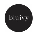 bluivygroup.com