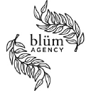 Bluem Agency in Elioplus