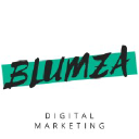 Company logo for blumza.com