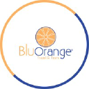 bluorangetravels.com