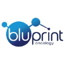 bluprintoncology.com