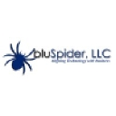 bluspider.com
