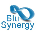blusynergy.com