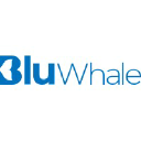 bluwhale.net