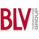 blv-consulting-group.com