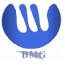 bmgroupinc.com