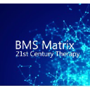bms-matrix.com