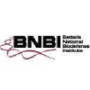 bnbi.org