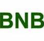 BNB Renewable Energy Holdings