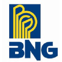 bng-es.com.br