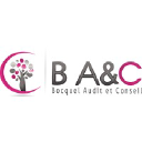 bocquel-audit.com