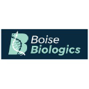 Boise Biologics And Regenerative Medicine