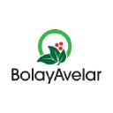 bolay-international.com
