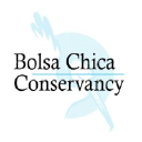 bolsachica.org