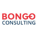 bongoconsulting.com