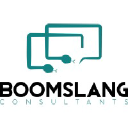 boomslangconsultants.com
