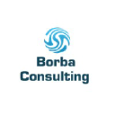 borbaconsulting.com