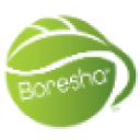 boreshainternational.com