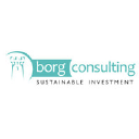 borg-consulting.com