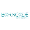 borncodetechnologies.com