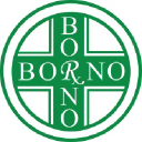 borno-chemists.com