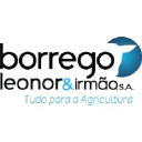 borrego-leonor.com