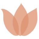 Read Borrowing Magnolia Reviews