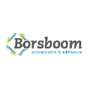 borsboom-accountants.nl