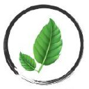 Botanicalremediesllc