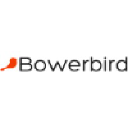bowerbird.co