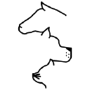 Bradford Animal Clinic logo