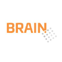 brain-bulgaria.com