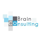 brain-consulting.net
