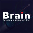brain.net.pk