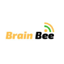brainbeeus.com