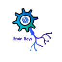 brainboys.org