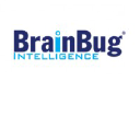 brainbug.co.za