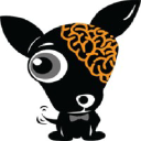 braindog.com.br