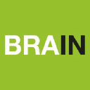 brainint.com.br
