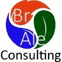 braleconsulting.com