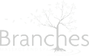 branchesmassageandspa.com