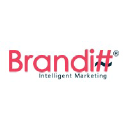 branditt.com