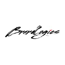 brandlogics.com.pk