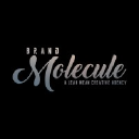 brandmolecule.com