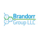 Brandorr Group in Elioplus