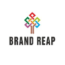 brandreap.com