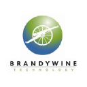 brandywinetechnology.com