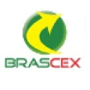 brascex.com