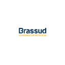 brassud.com.br